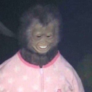 Meet your Posher, Joshua